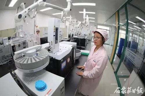 創新路上 快馬加鞭 石市骨干藥企持續發力研發創新助力全市生物醫藥產業 率先突破