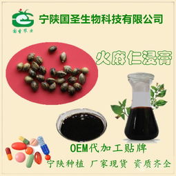 火麻仁浸膏 火麻仁提取液 寧陜囯圣 專業植提 oem代工 壓片糖果價格,產品報價