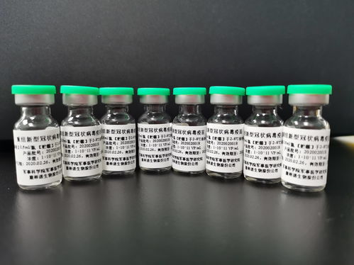 宋清輝 康希諾核心商業化產品未出現 或是導致股價下跌原因之一